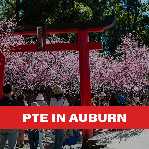 PTE IN Auburn